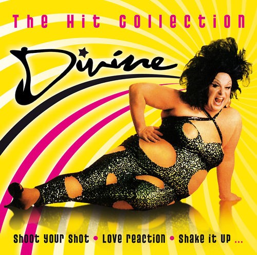 Divine the hit - cd,